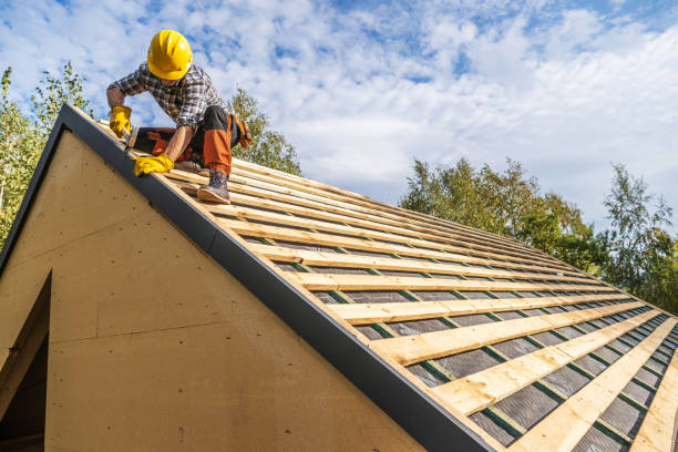Roof Gutter Cleaning in Ponca City, OK